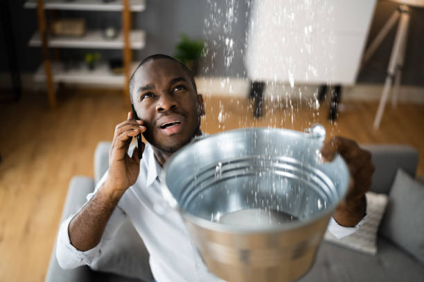 Best Water damage restoration near me  in White Haven, PA