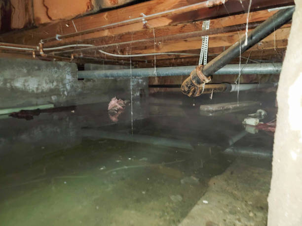 Best Residential water damage restoration  in White Haven, PA