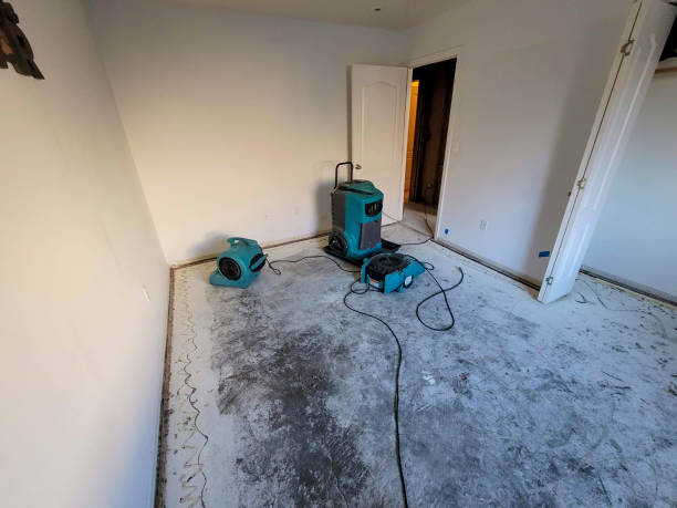 Carpet water damage restoration in White Haven, PA