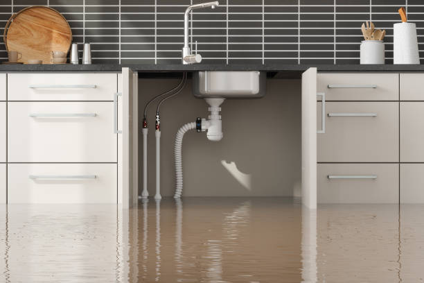 Best Flood damage cleanup  in White Haven, PA